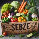 Subscription Box - Large